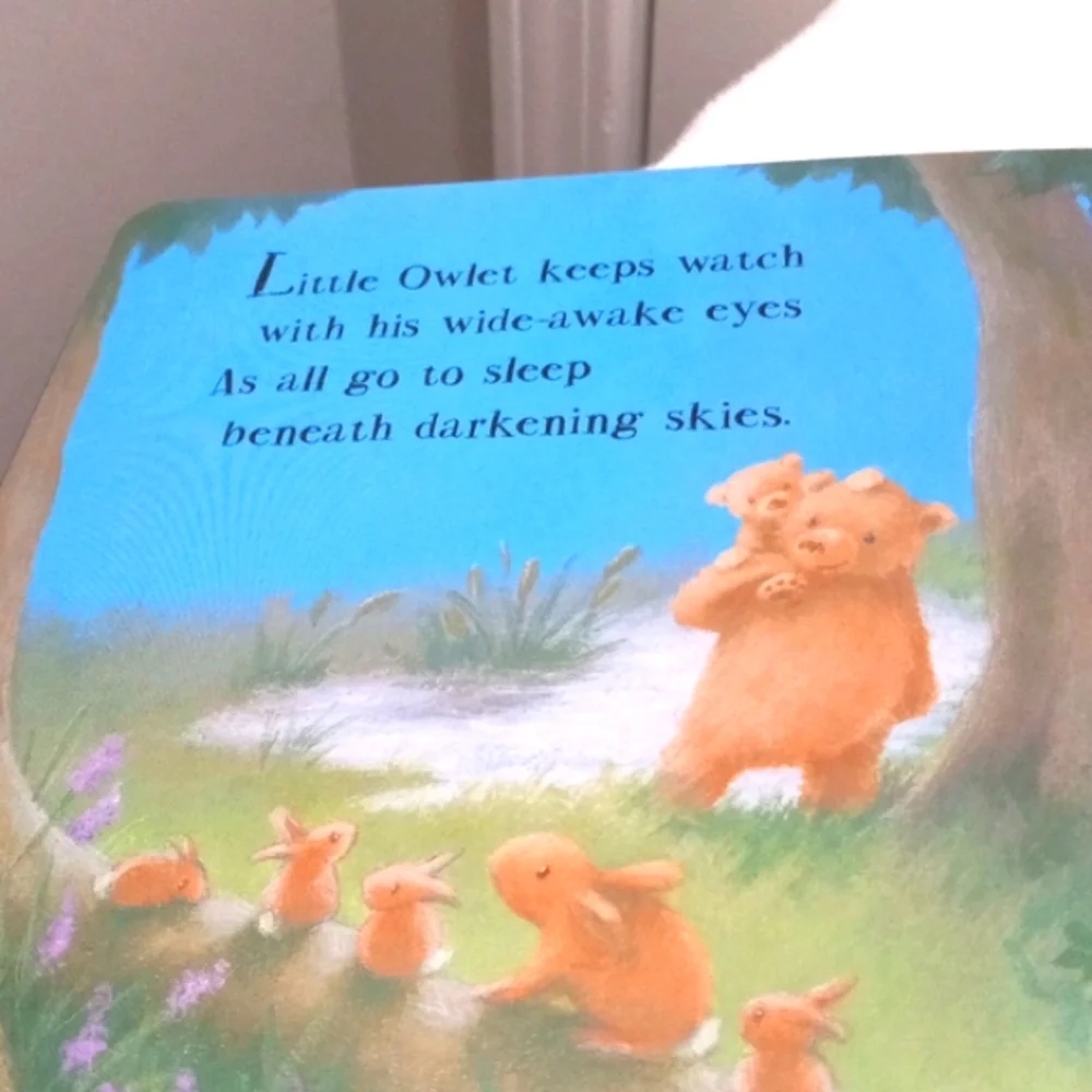 2 Kids Book Lot